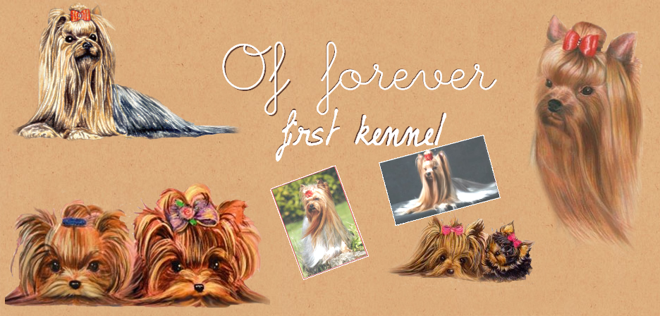 Of Forever First Kennel